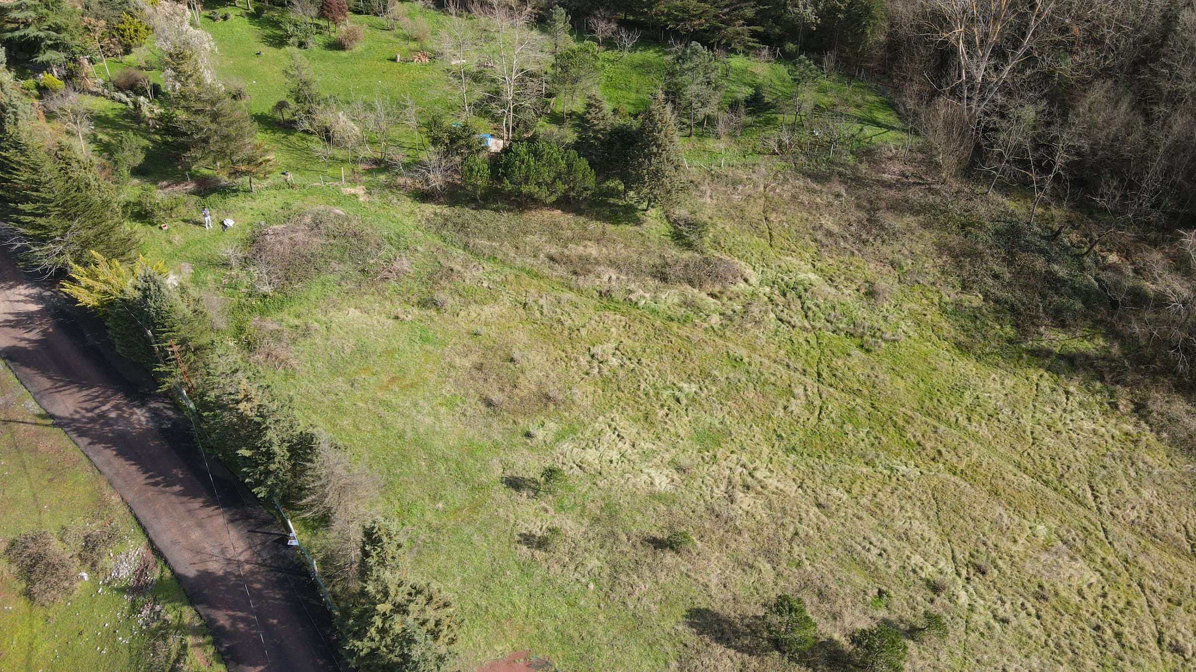 Aerial view of rough scrubland and trees on a hillside, with no building present.