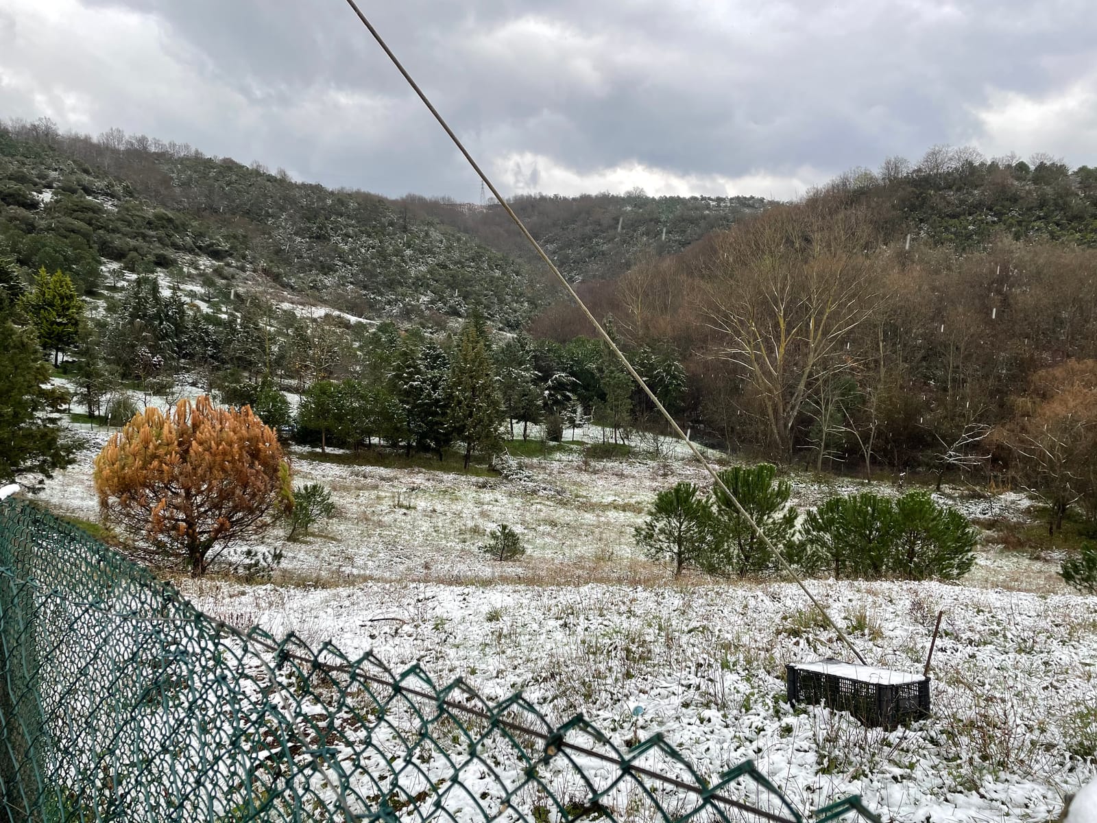 Snow-covered scrubland behind a wire fence, with bare trees and a wooded hillside beyond.